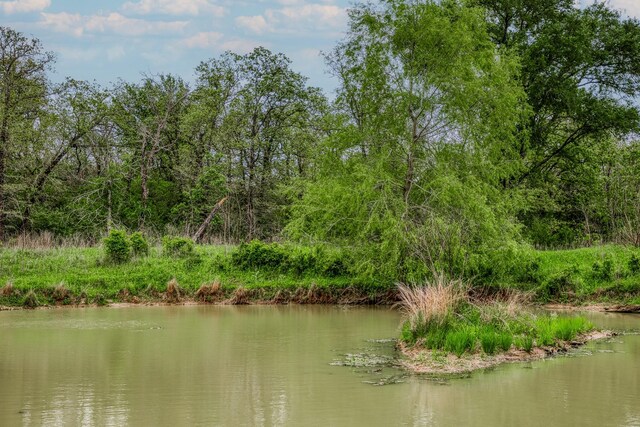 TBD(349.84Acres) County Road 125, Ledbetter, TX 78946