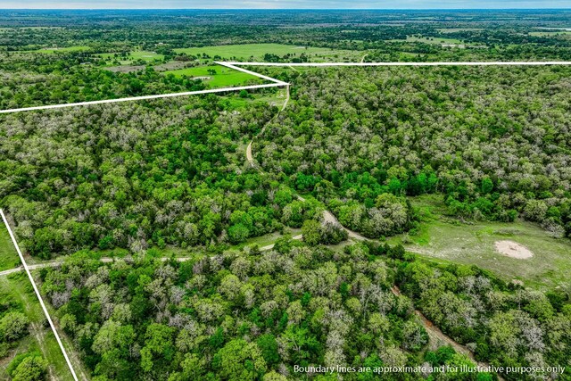 TBD(349.84Acres) County Road 125, Ledbetter, TX 78946