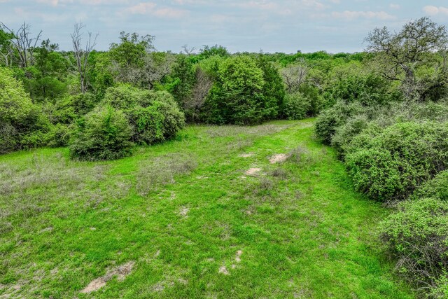 TBD(349.84Acres) County Road 125, Ledbetter, TX 78946