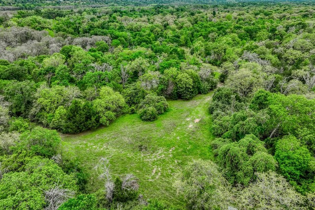 TBD(349.84Acres) County Road 125, Ledbetter, TX 78946