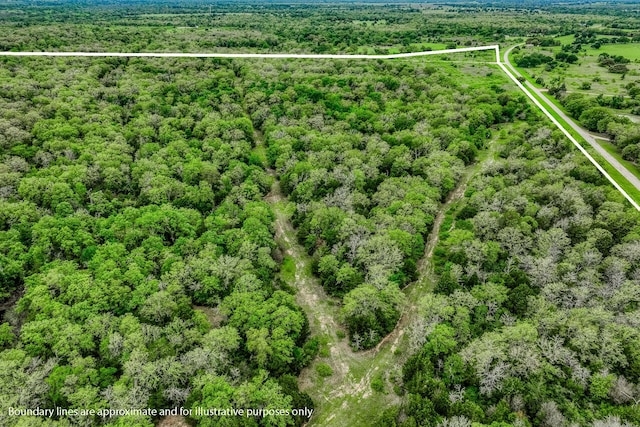 TBD(349.84Acres) County Road 125, Ledbetter, TX 78946