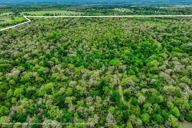 TBD(349.84Acres) County Road 125, Ledbetter, TX 78946