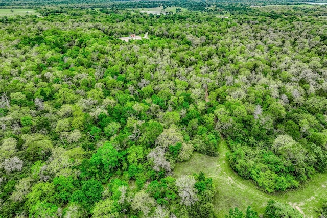 TBD(349.84Acres) County Road 125, Ledbetter, TX 78946