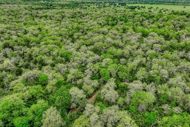 TBD(349.84Acres) County Road 125, Ledbetter, TX 78946