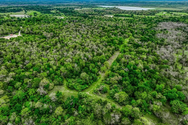 TBD(349.84Acres) County Road 125, Ledbetter, TX 78946