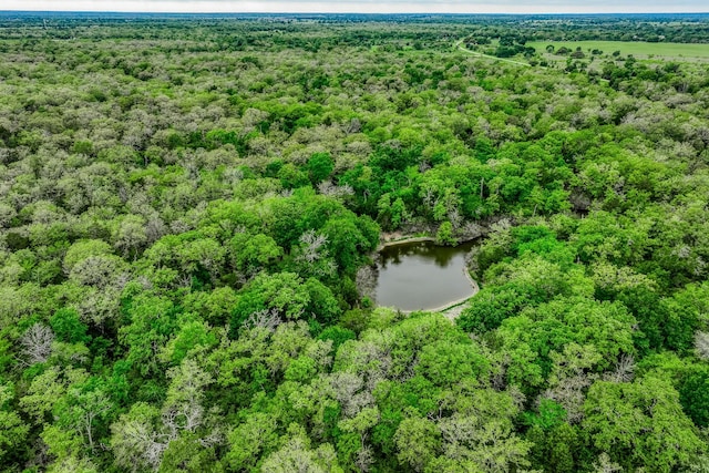 TBD(349.84Acres) County Road 125, Ledbetter, TX 78946