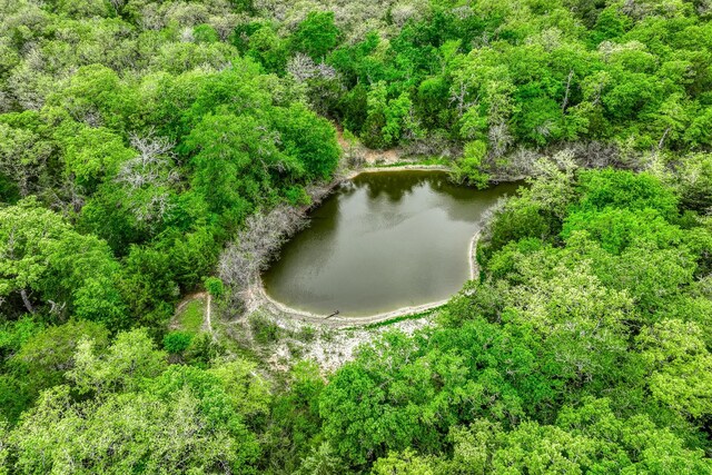 TBD(349.84Acres) County Road 125, Ledbetter, TX 78946