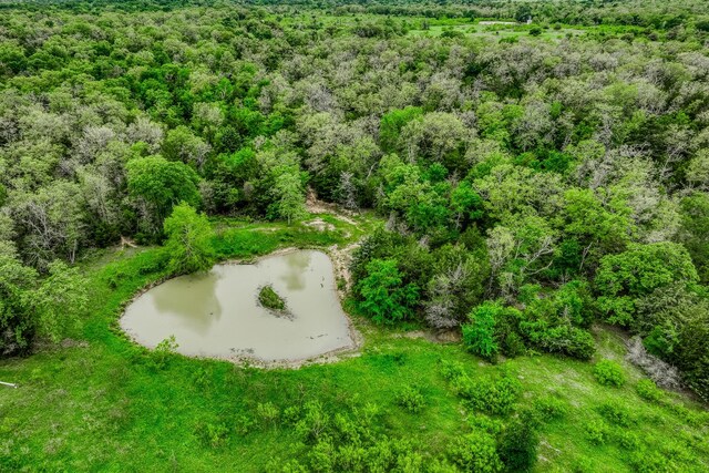 TBD(349.84Acres) County Road 125, Ledbetter, TX 78946