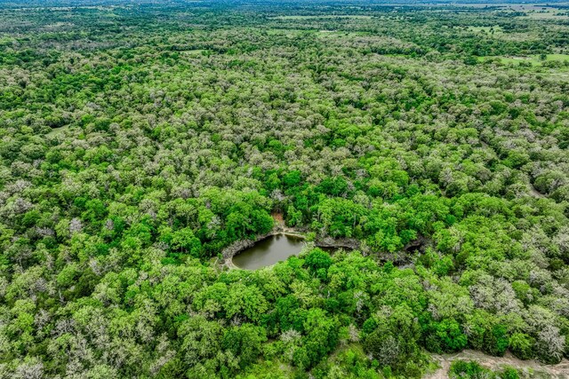 TBD(349.84Acres) County Road 125, Ledbetter, TX 78946