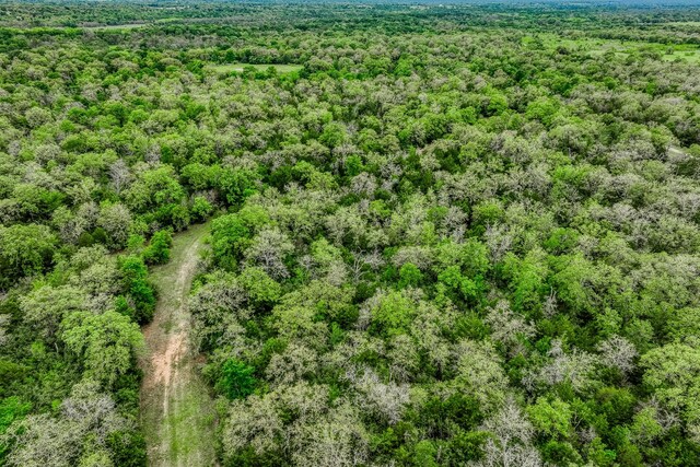 TBD(349.84Acres) County Road 125, Ledbetter, TX 78946