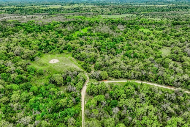 TBD(349.84Acres) County Road 125, Ledbetter, TX 78946