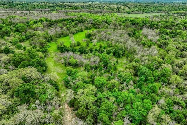 TBD(349.84Acres) County Road 125, Ledbetter, TX 78946