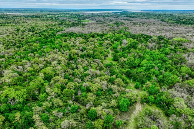 TBD(349.84Acres) County Road 125, Ledbetter, TX 78946