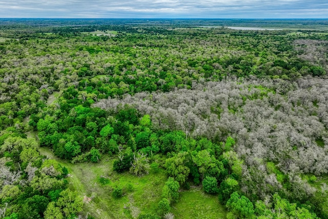 TBD(349.84Acres) County Road 125, Ledbetter, TX 78946