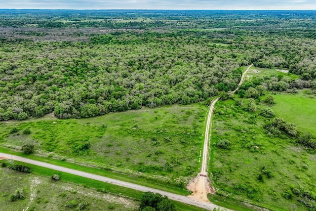 TBD(349.84Acres) County Road 125, Ledbetter, TX 78946
