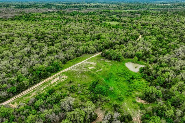 TBD(349.84Acres) County Road 125, Ledbetter, TX 78946