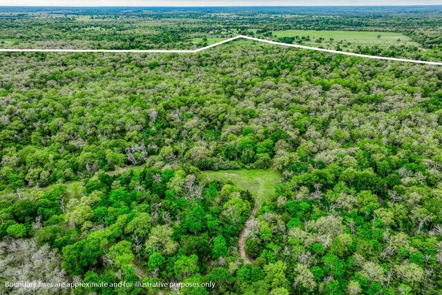 TBD(349.84Acres) County Road 125, Ledbetter, TX 78946