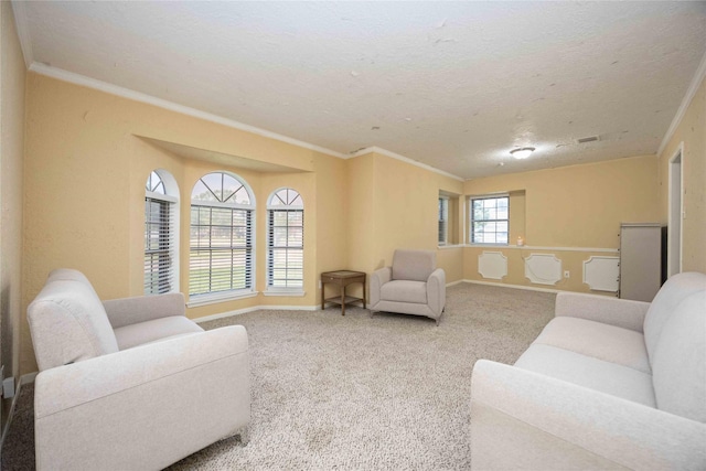 255 Shekel Ln, Houston, TX 77015 - living room with carpet flooring, a textured ceiling, ornamental molding, and baseboards