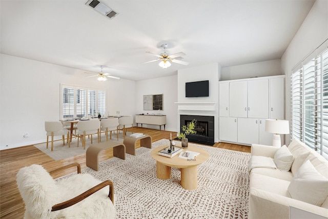 242 Knox St, Houston, TX 77007 - living room with a healthy amount of sunlight, ceiling fan, visible vents, and light wood-style floors