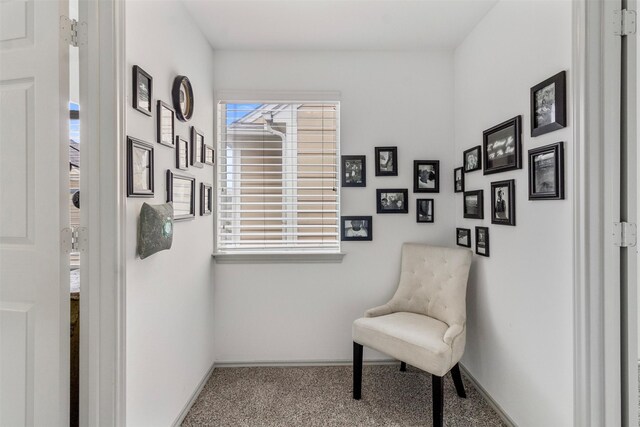 living area with baseboards and carpet flooring
