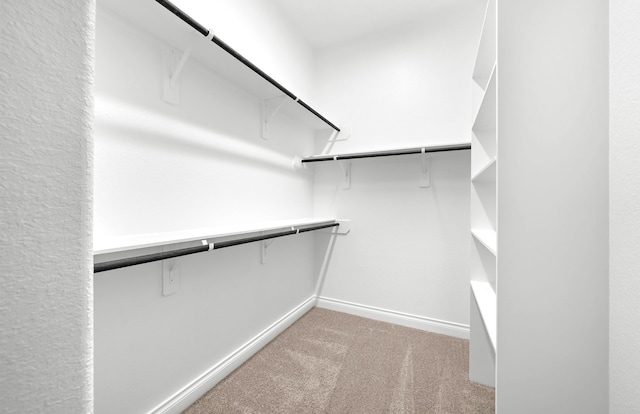 10719 Jacobina Ct, Cypress, TX 77433 - spacious closet with light carpet