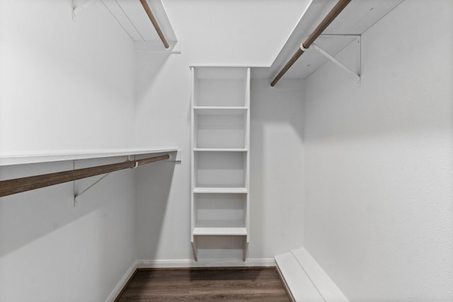 walk in closet with dark wood-type flooring