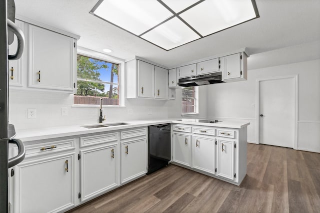 kitchen featuring dark wood-style floors, black appliances, a sink, and under cabinet range hood