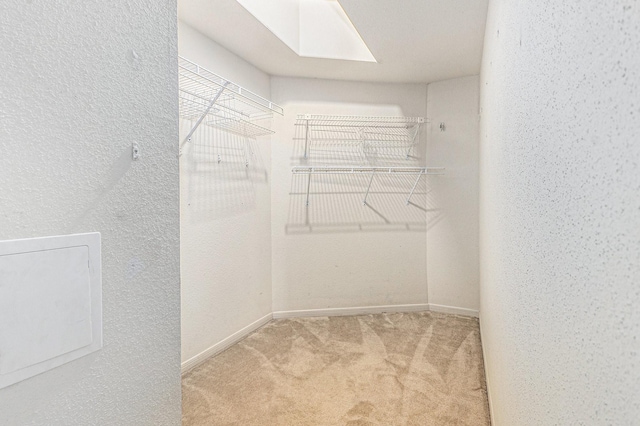 walk in closet with a skylight and carpet flooring