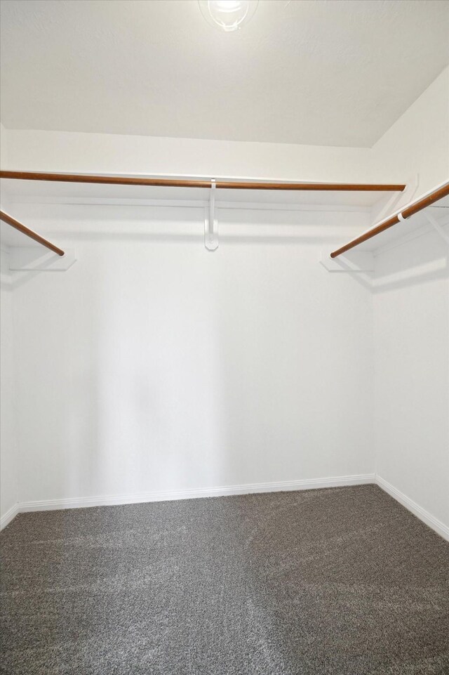 spacious closet with carpet floors
