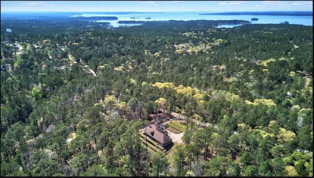 birds eye view of property featuring a water view and a view of trees