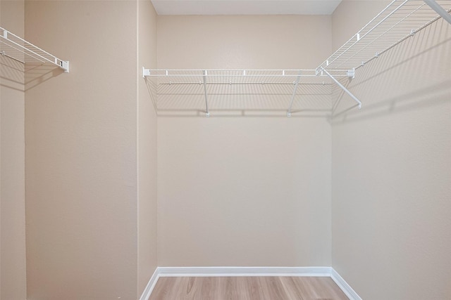 walk in closet featuring light wood-style floors
