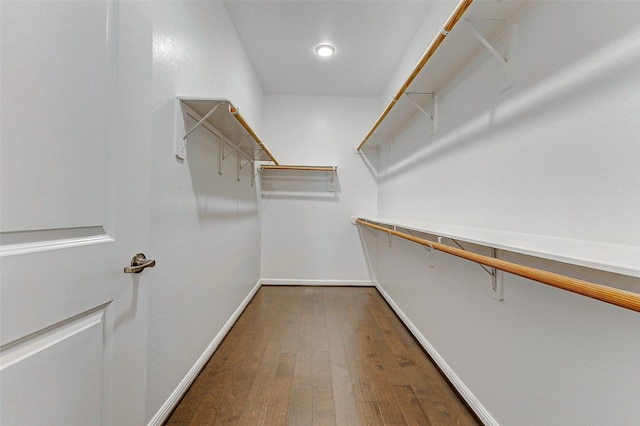 29031 Zacate Creek Ln, Fulshear, TX 77441 - walk in closet with dark wood-type flooring