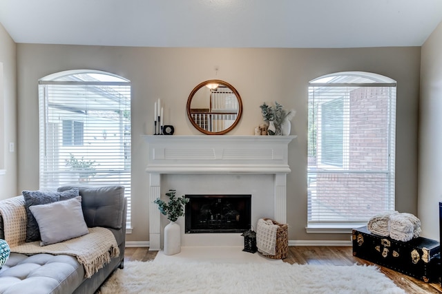 living area with baseboards, wood finished floors, a fireplace with flush hearth, and plenty of natural light