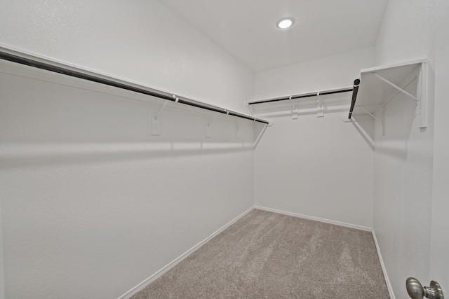 walk in closet featuring light carpet