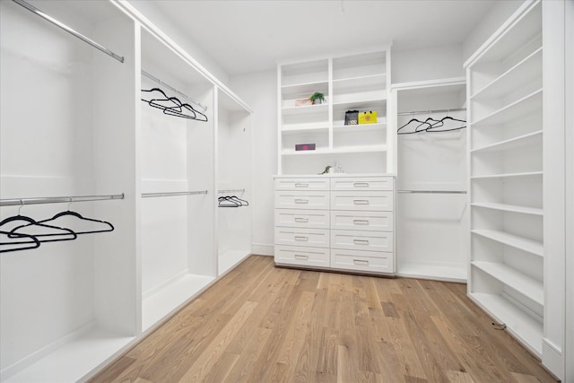 spacious closet with light wood-style flooring