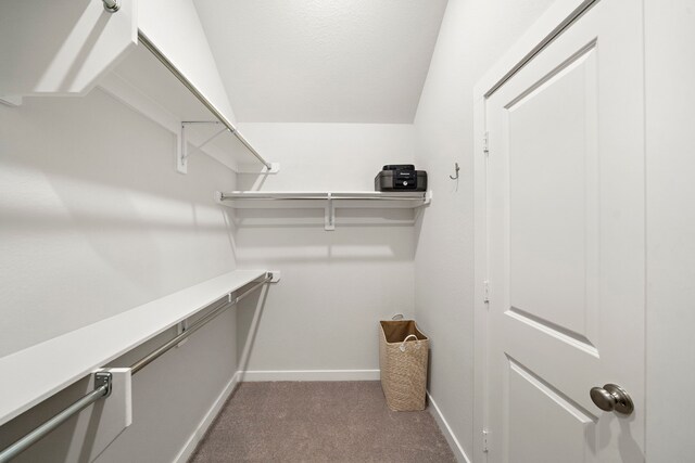 spacious closet with lofted ceiling and carpet