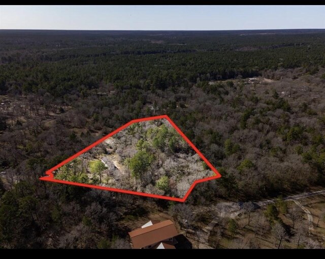 TBD Grace Ln, Huntsville, TX 77320 - photo 4