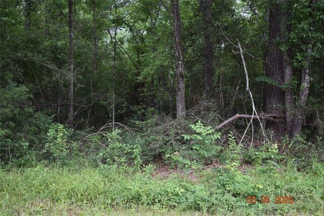 TBD Grace Ln, Huntsville, TX 77320 - photo 1