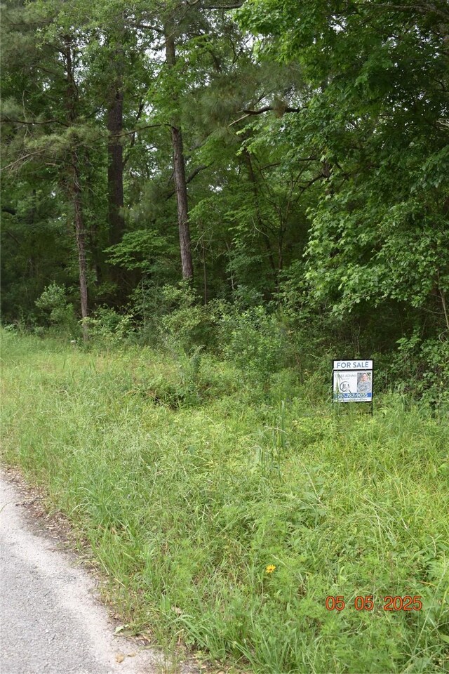 TBD Grace Ln, Huntsville, TX 77320 - photo 2