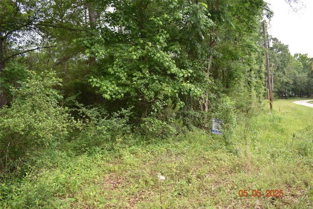 TBD Grace Ln, Huntsville, TX 77320 - photo 5