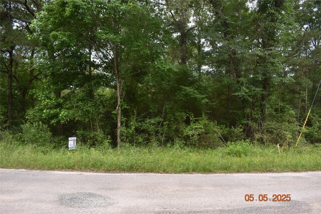 TBD Grace Ln, Huntsville, TX 77320 - photo 6