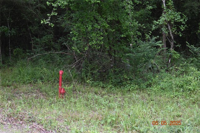 TBD Grace Ln, Huntsville, TX 77320 - photo 7