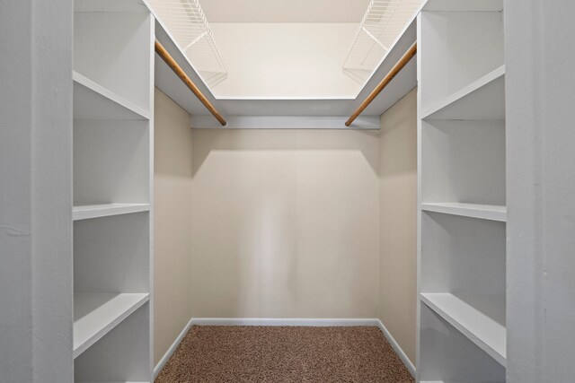 5471 Birdwood Rd, Houston, TX 77096 - walk in closet with carpet floors