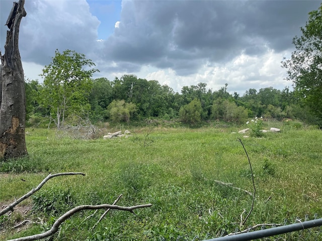 view of yard featuring a wooded view