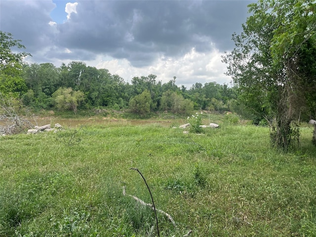view of local wilderness with a forest view