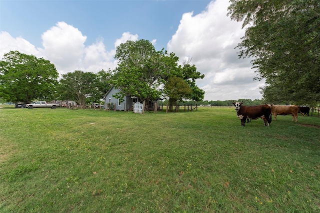 2525 N Bar, Rosenberg, TX 77471 - photo 20