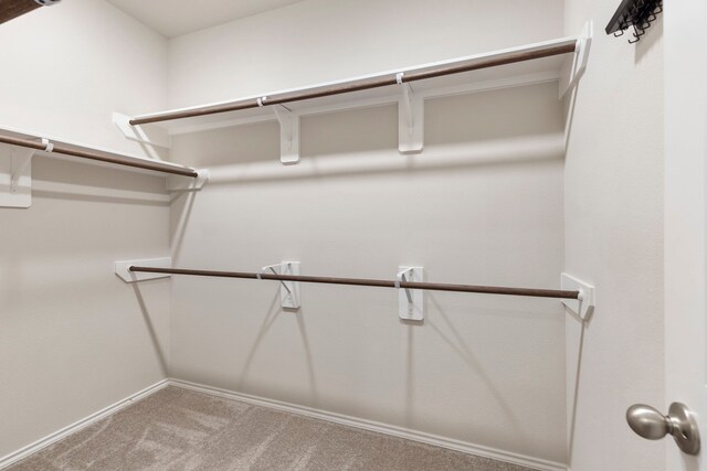 549 Timber Voyage Ct, Conroe, TX 77304 - walk in closet featuring carpet