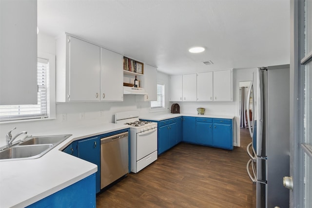 kitchen with appliances with stainless steel finishes, blue cabinetry, under cabinet range hood, and a sink