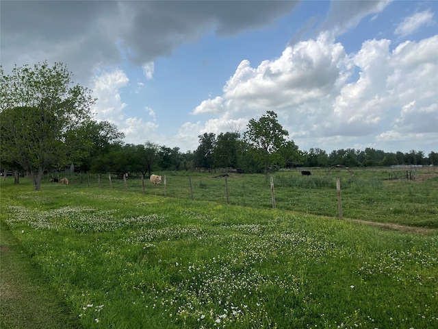 2403 N Bar Rd, Rosenberg, TX 77471 - photo 14