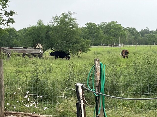2403 N Bar Rd, Rosenberg, TX 77471 - photo 23